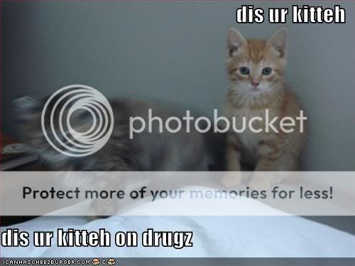 disurkittehd.jpg