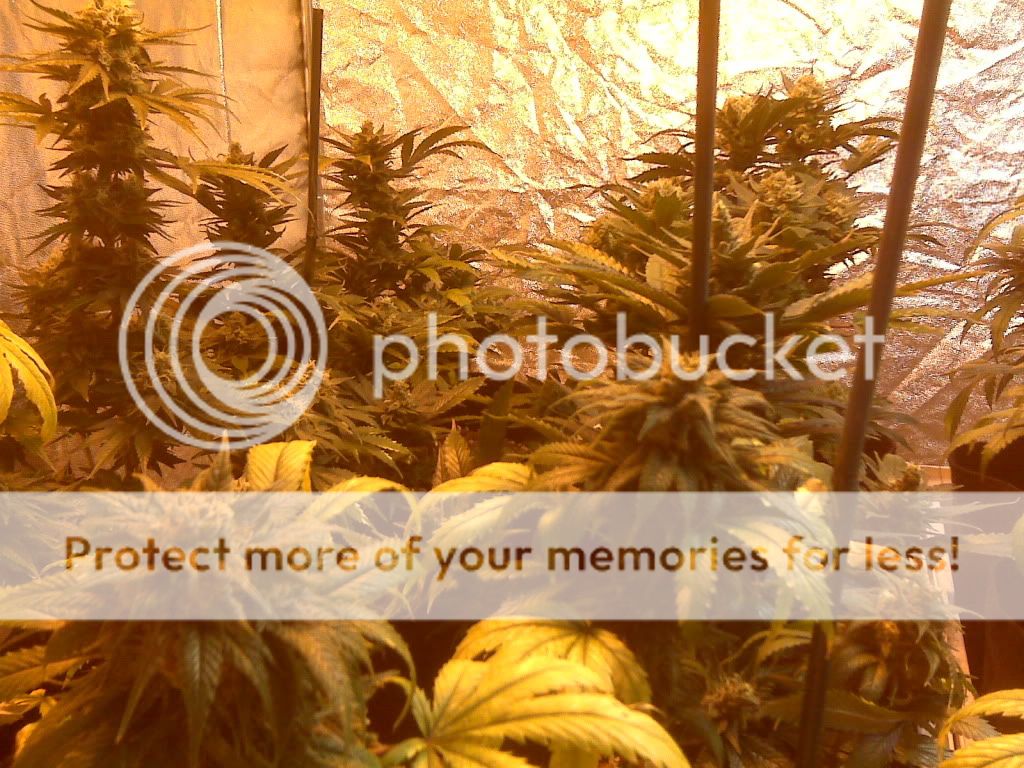 IMG00022.jpg