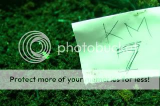 Sprouts-7.jpg