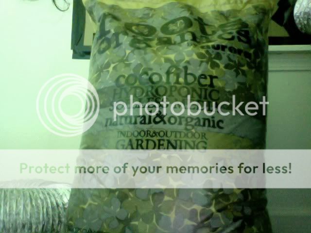 Photo10.jpg