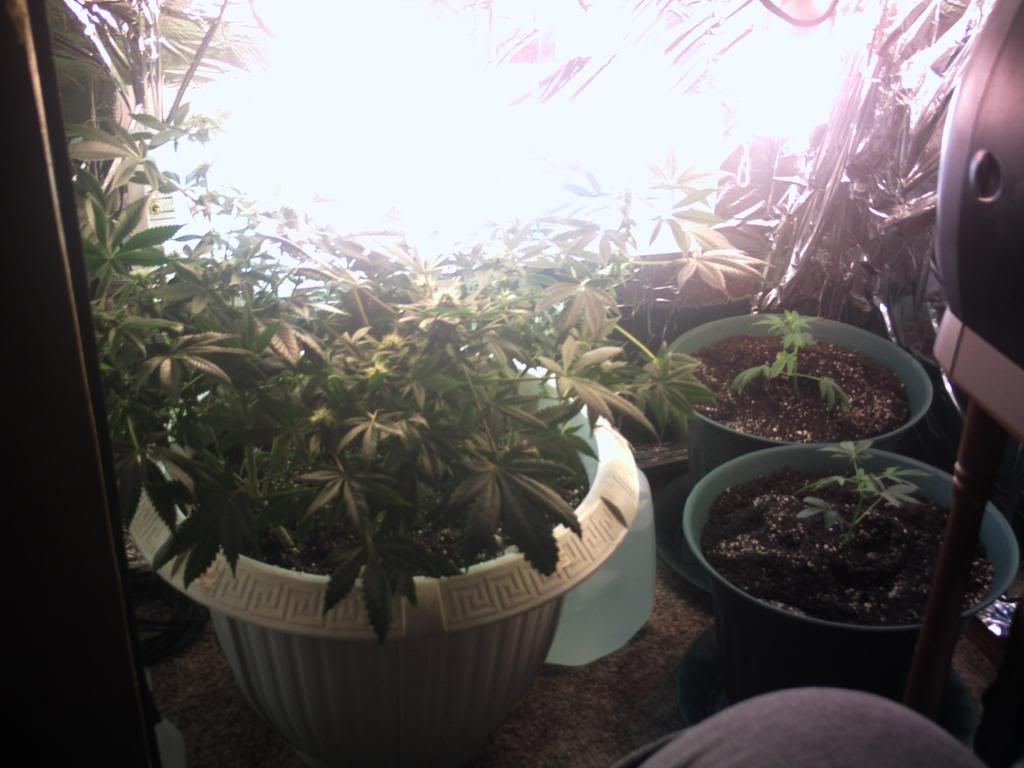 GroupShot.jpg