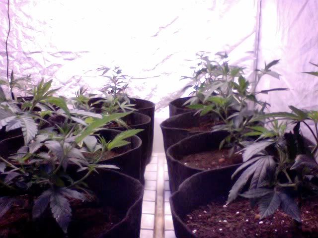 Photo9-8.jpg
