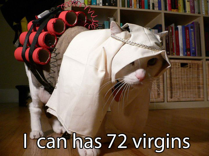 66868-lolcat_terrorist.jpg
