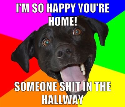 happy.jpg