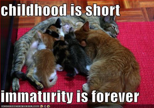 Lol-catz-animal-humor-8906845-500-352.jpg