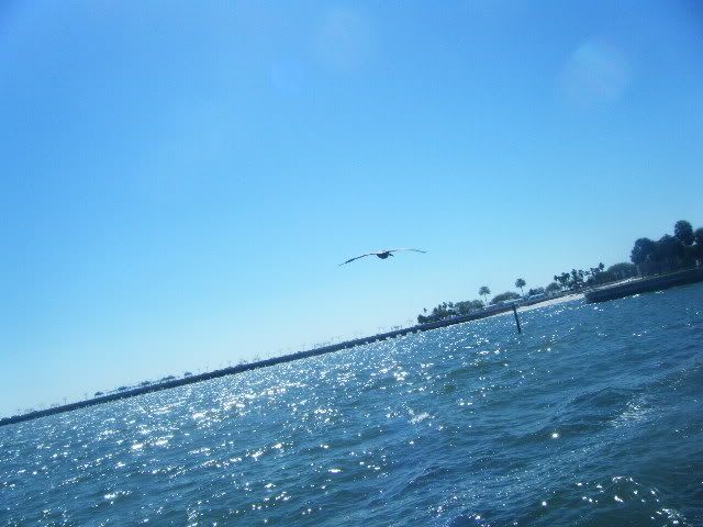 DSCF0478.jpg