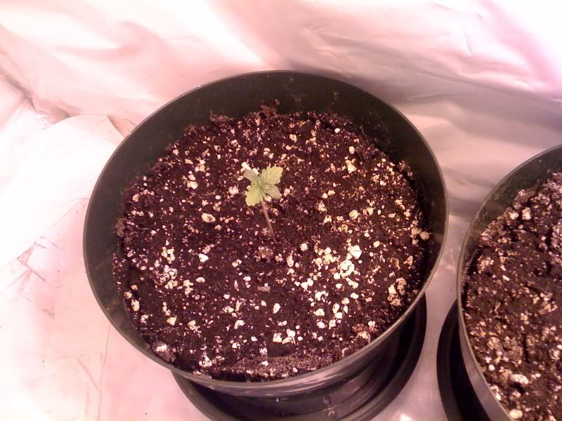 photo-13.jpg