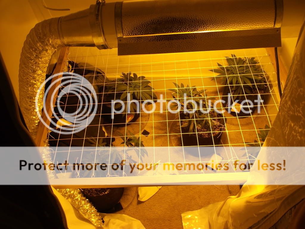 DSCF3061.jpg