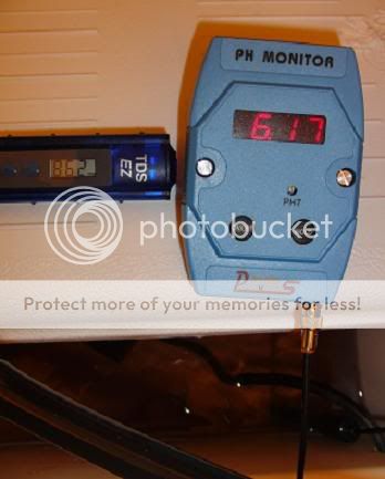 P6_2.jpg