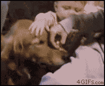 gifs_01.gif