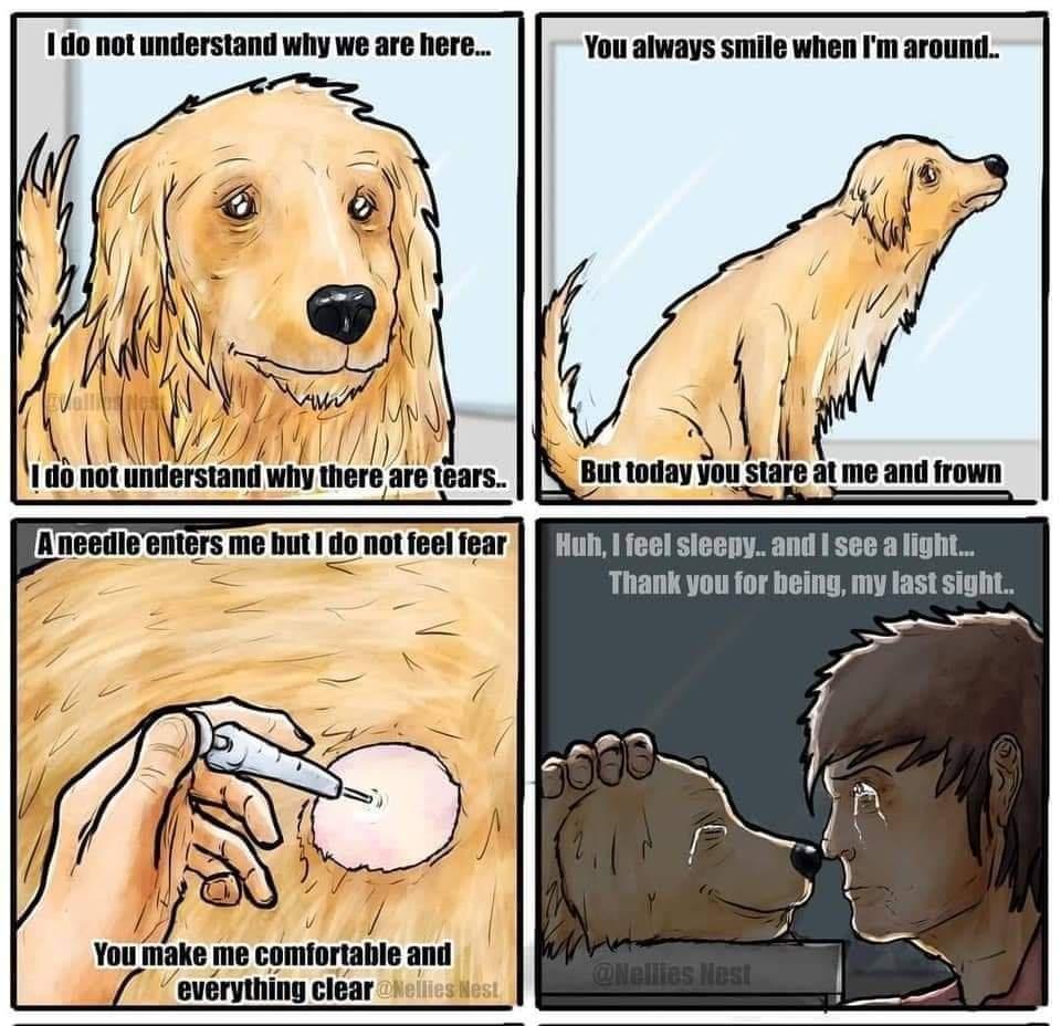 bs0eYVv.jpg