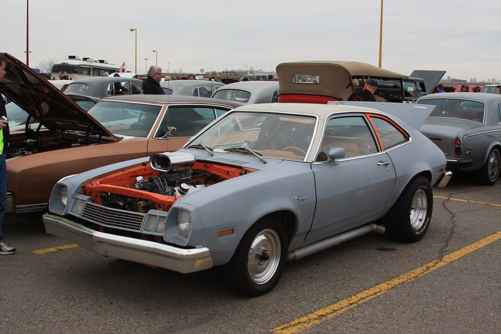 v8pinto.jpg