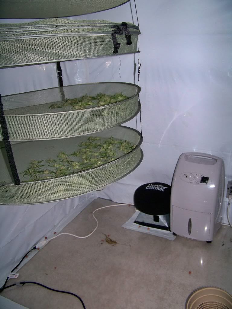 100_4746.jpg