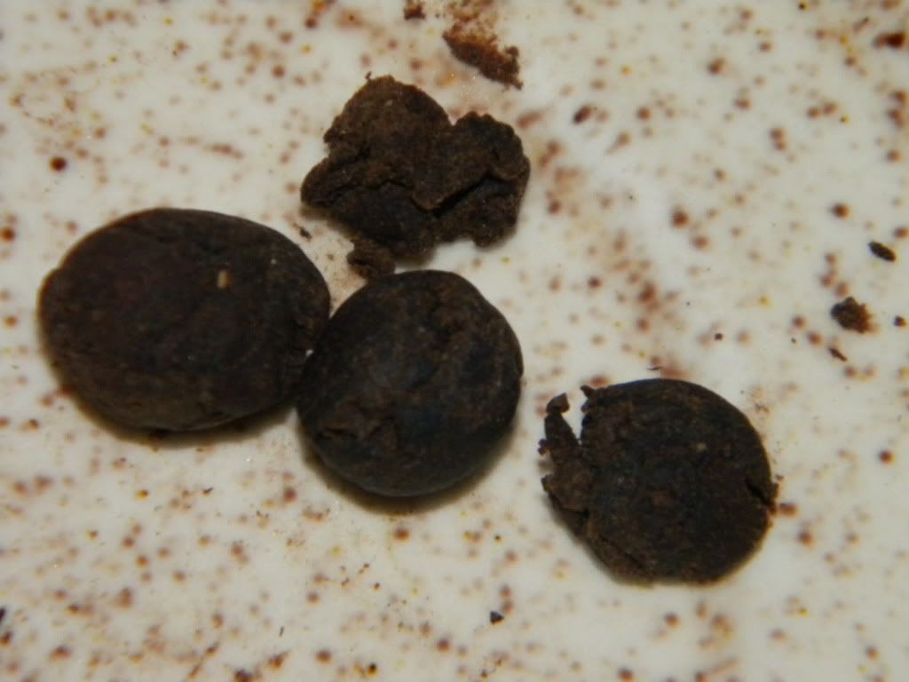 DSCN3276.jpg