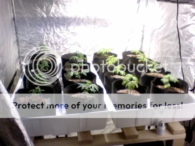 Photo42.jpg