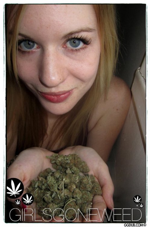 tumblr_lgqavaoOTQ1qzp591o1_500.jpg