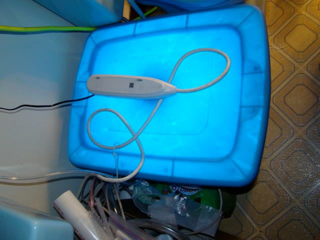 DSC01254.jpg