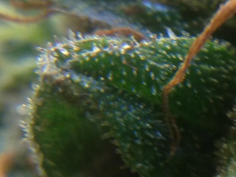 image_zps44960912.jpg