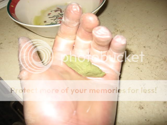 IMG_0855.jpg