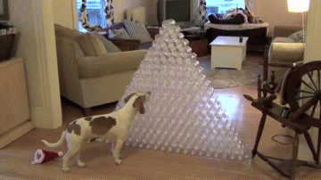 RTAHRJ9.gif