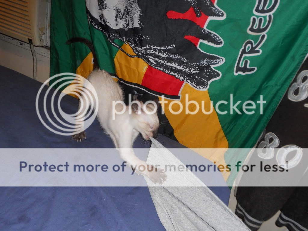 DSCN3980.jpg