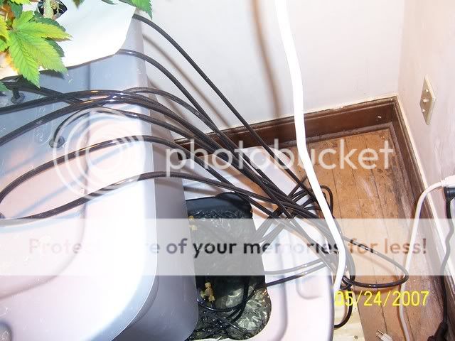 000_1014.jpg