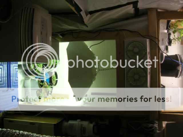 DSCN1080.jpg