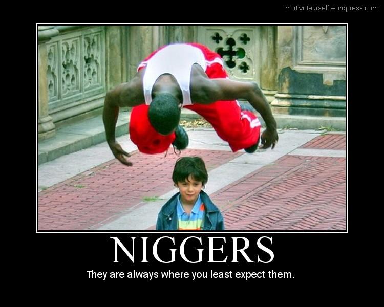 niggers6.jpg