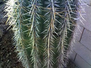 11-05-07_1456.jpg