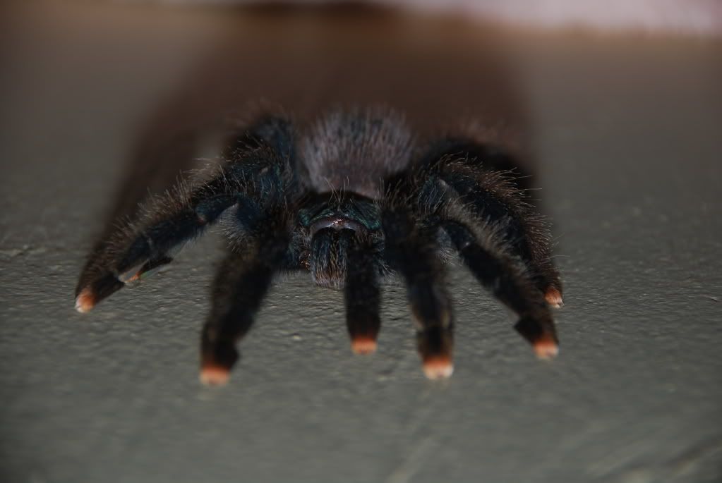 DSC_0198.jpg