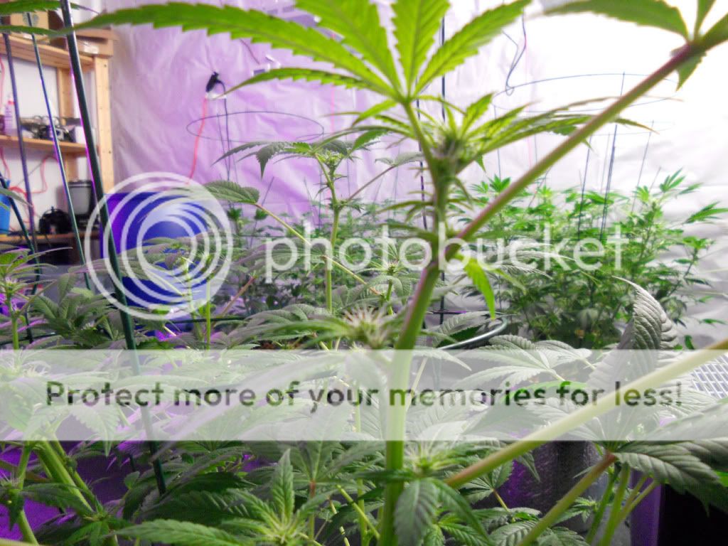 G13_Day24f_1.jpg