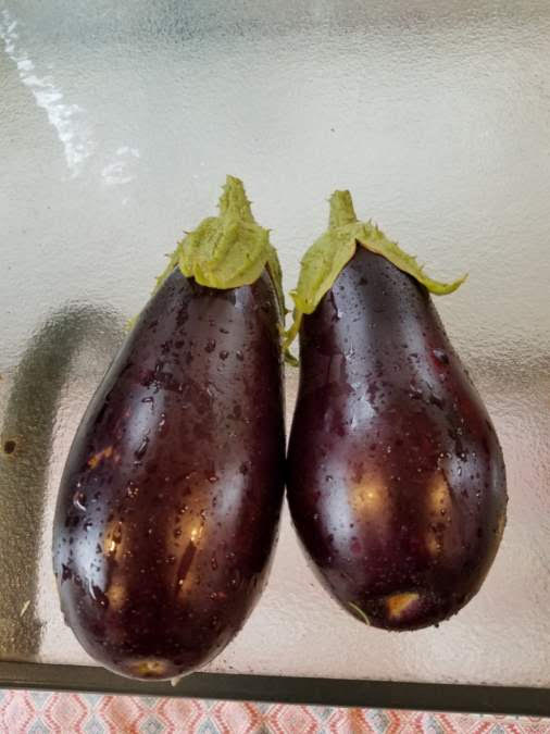 eggplant918.jpg