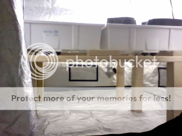 Photo19.jpg
