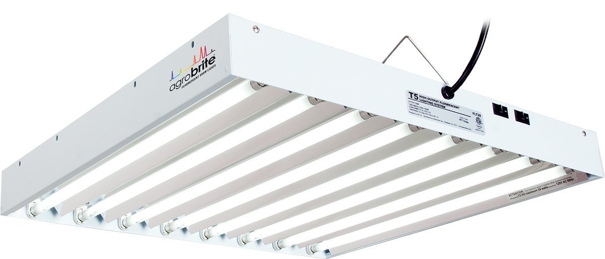 s-l1600.jpg