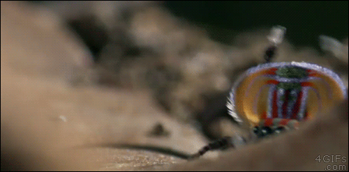 tumblr_ntdq6dVwMx1tpri36o1_500.gif