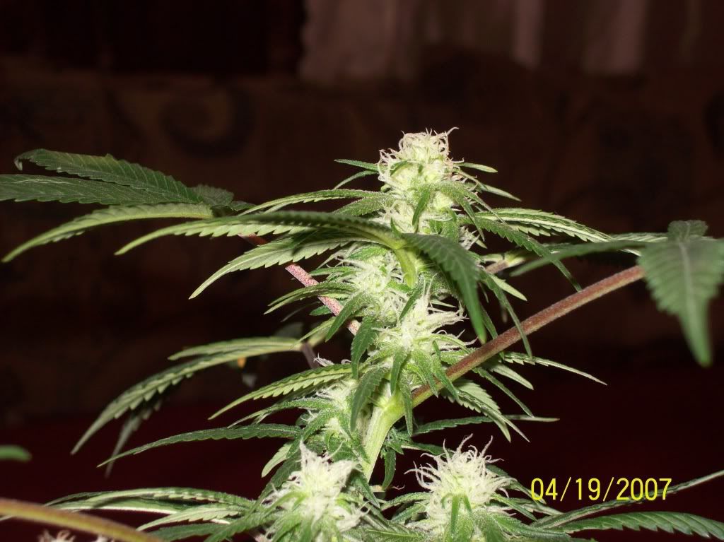 100_8570.jpg