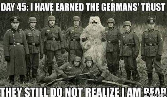 Funny-Pictures-Trust.jpg
