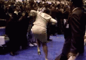 spirit.gif