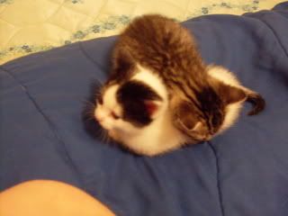 Picture005.jpg