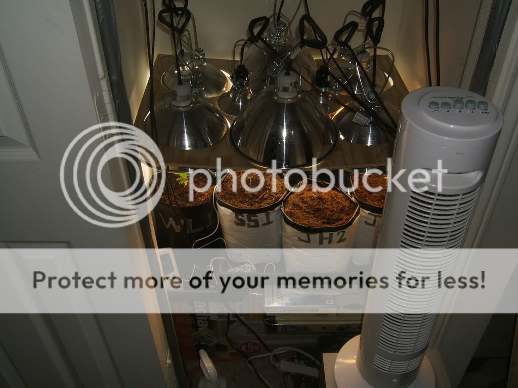 DSCF1467.jpg