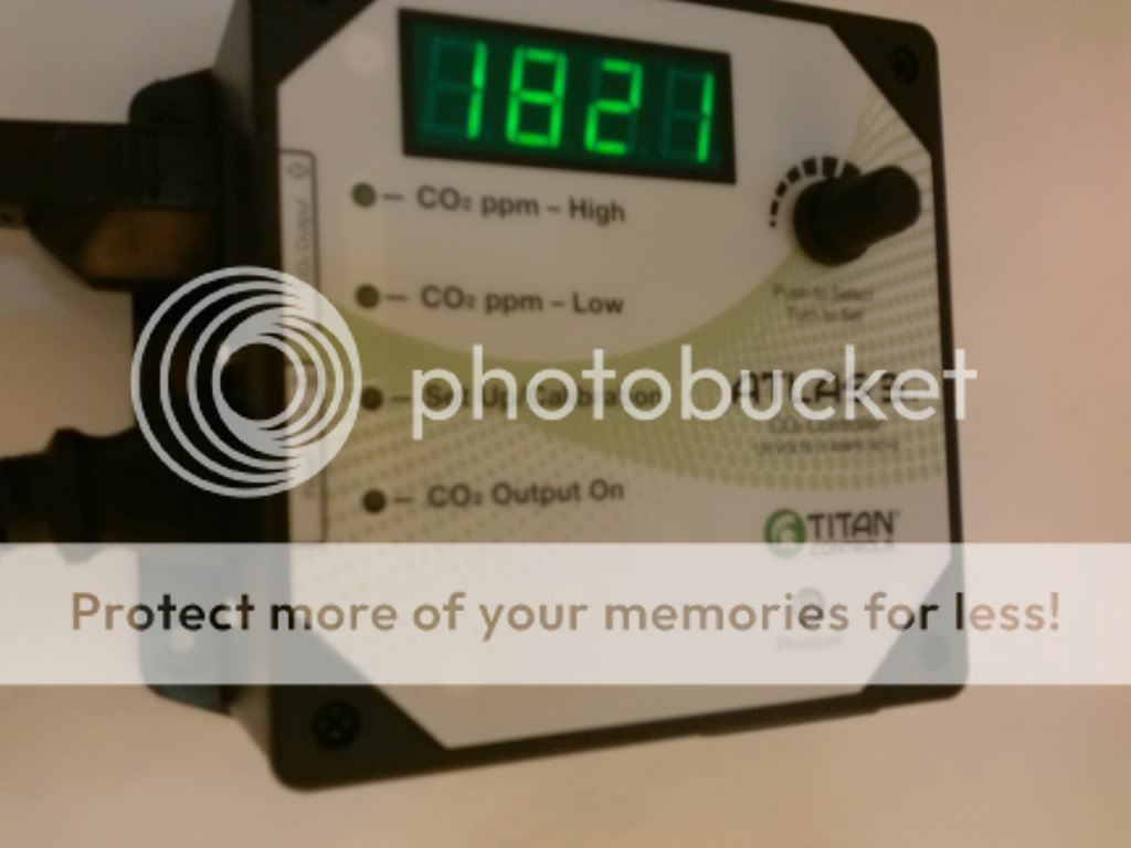 CAM00551_zps89fd6c8a.jpg