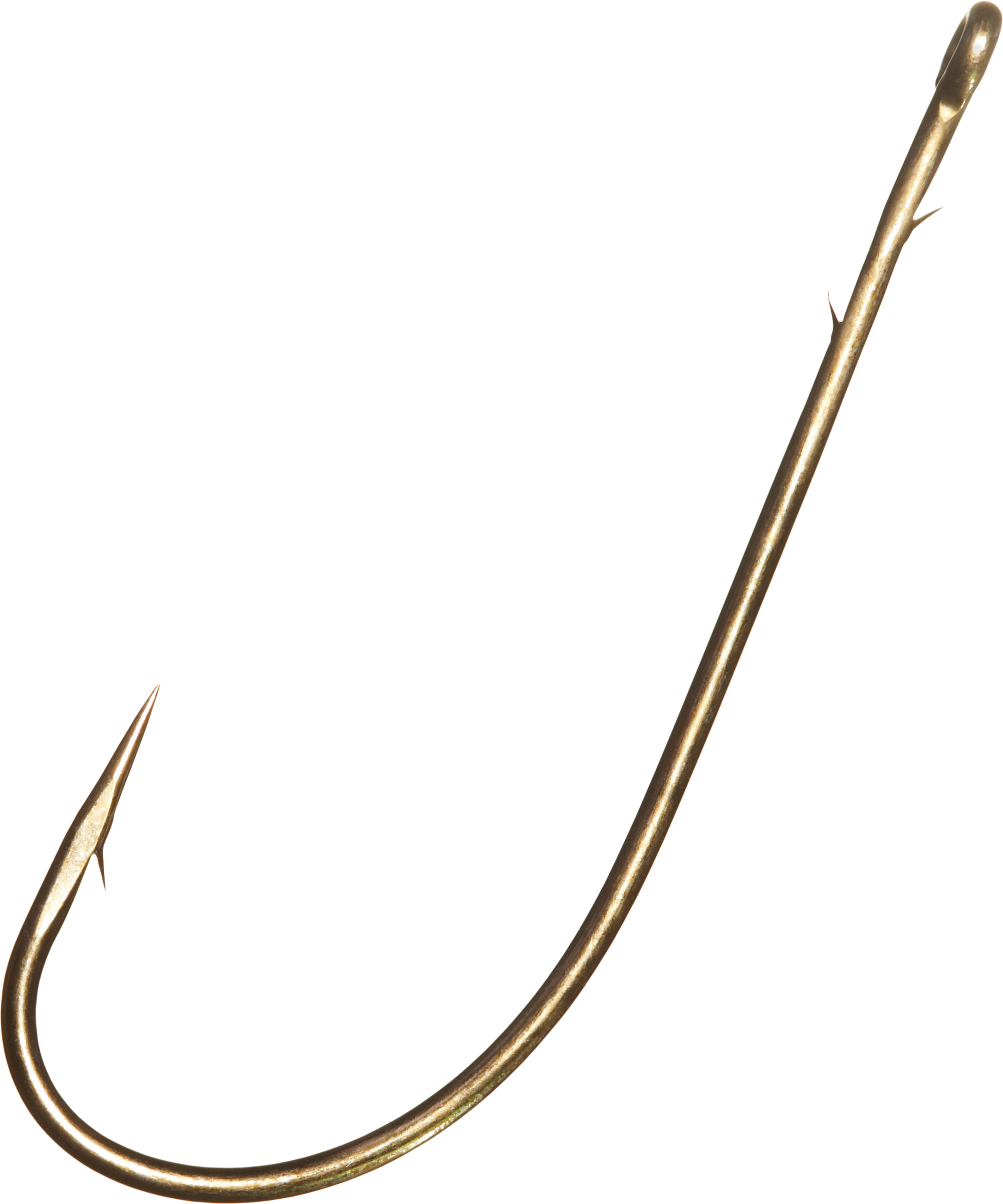 Fish_hook.png