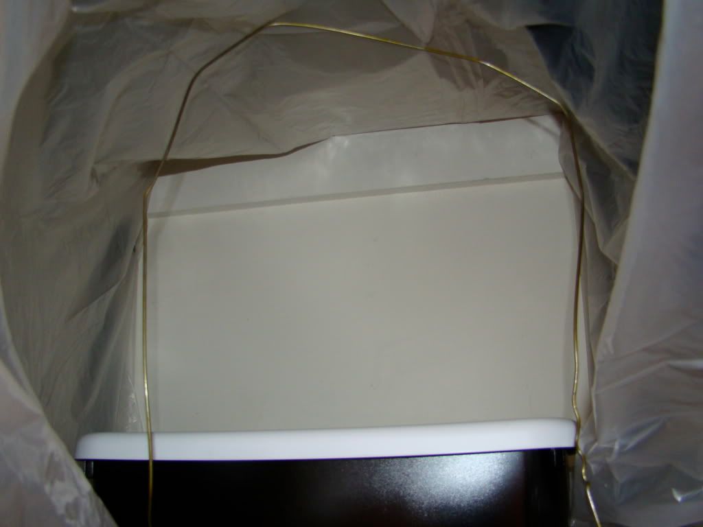 DSC01233.jpg