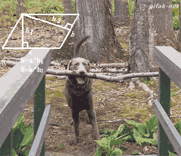 Ghn6HZZ.gif