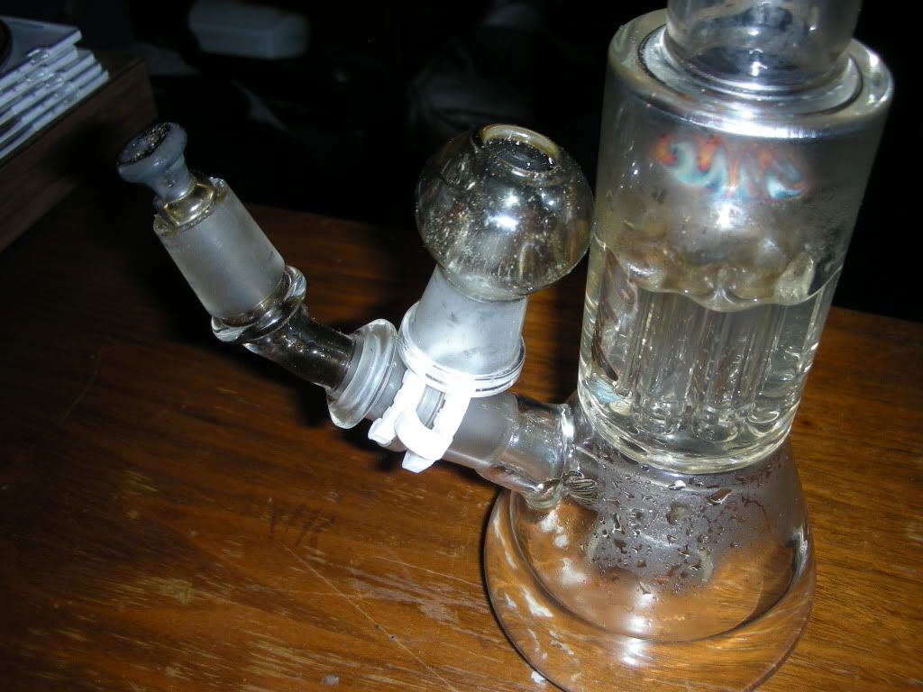 DSCN4281.jpg