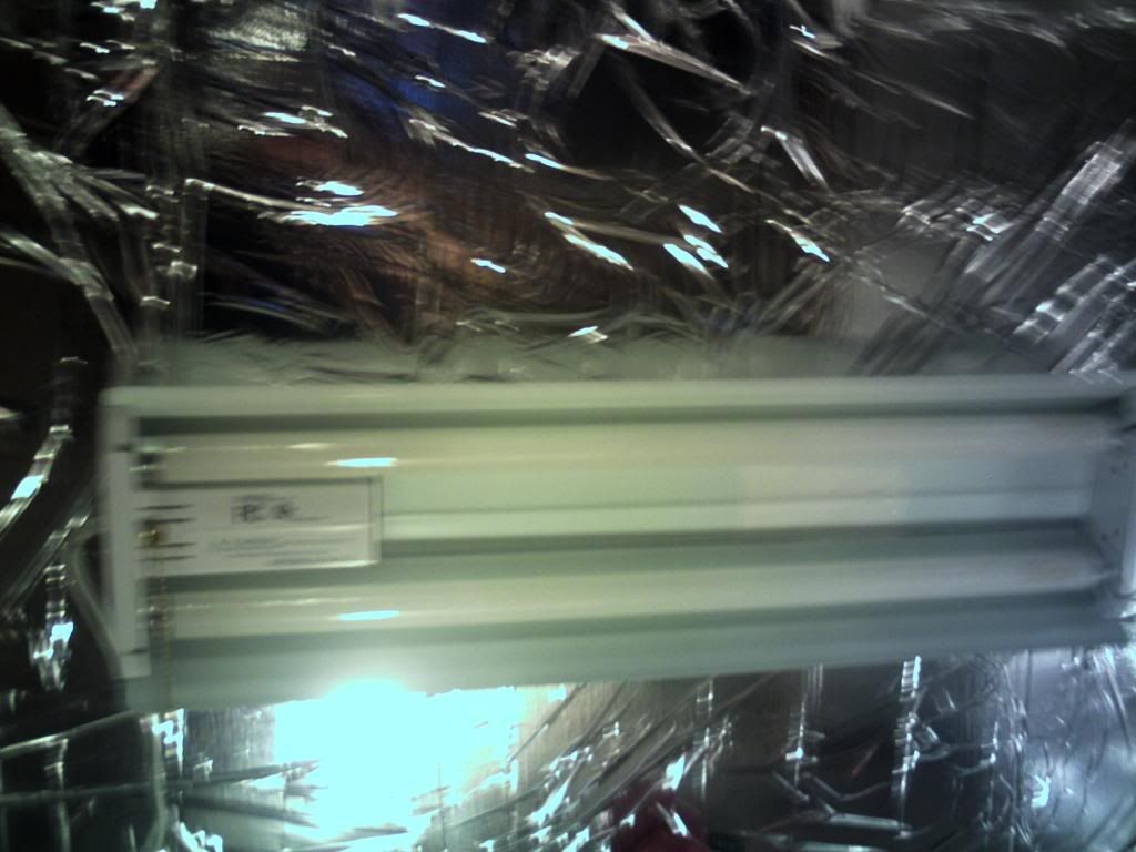 PICT0020.jpg