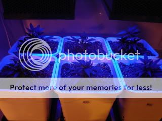 DSC04529.jpg