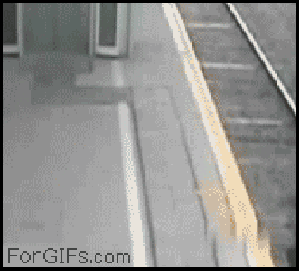 gifs_03.gif