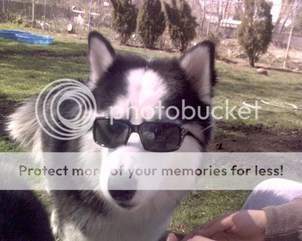 l_ba05db8baac050466dc34a6e7c0add-1.jpg