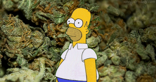 GreenLife .420